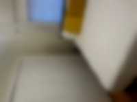 The Willow House - Photo 12